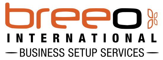 Breeo International, Business Setup Services
